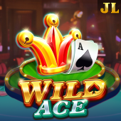 Wild Ace slot game cover art